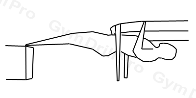 Feet-Elevated Inverted Row