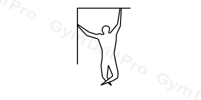 One-Arm Self-Assisted Chin-Up