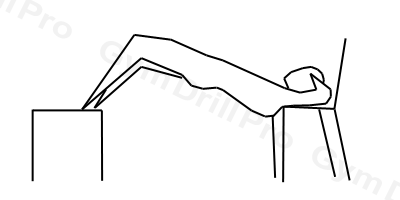 Shoulder-and-Feet-Elevated Hip Thrust