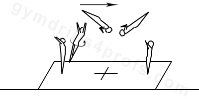 Back Layout with Half Turn Dismount Drill Parallel Bars