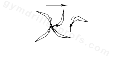 Moy Upperarm Support Drill Parallel Bars