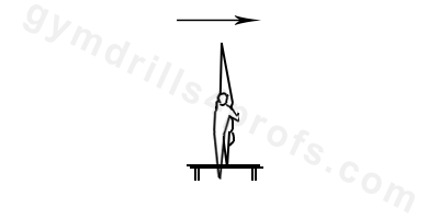 Handstand Drill Parallel Bars