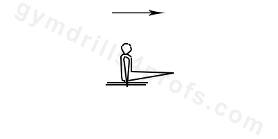 L-Sit Parallel Bars