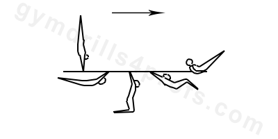 Moy Upperarm Support Parallel Bars