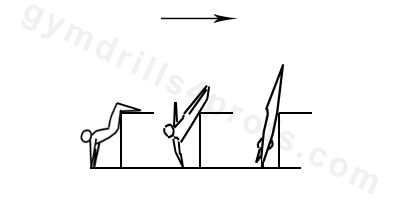 Stutz Drill Parallel Bars