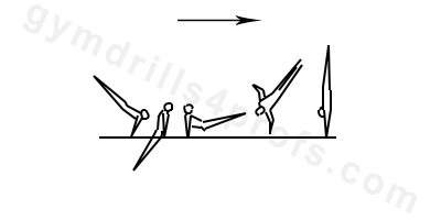 Stutz Parallel Bars