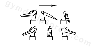 Czech Circles Drill Pommel Horse