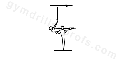 Back Lever Drill Still Rings