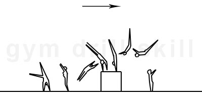 Roundoff with ½ Turn in First Fase Drill Vault