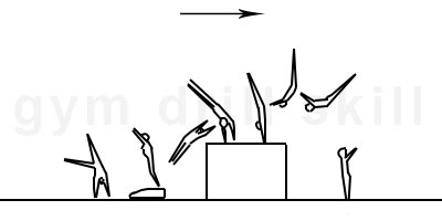 Roundoff with ½ Turn in First Fase Drill Vault